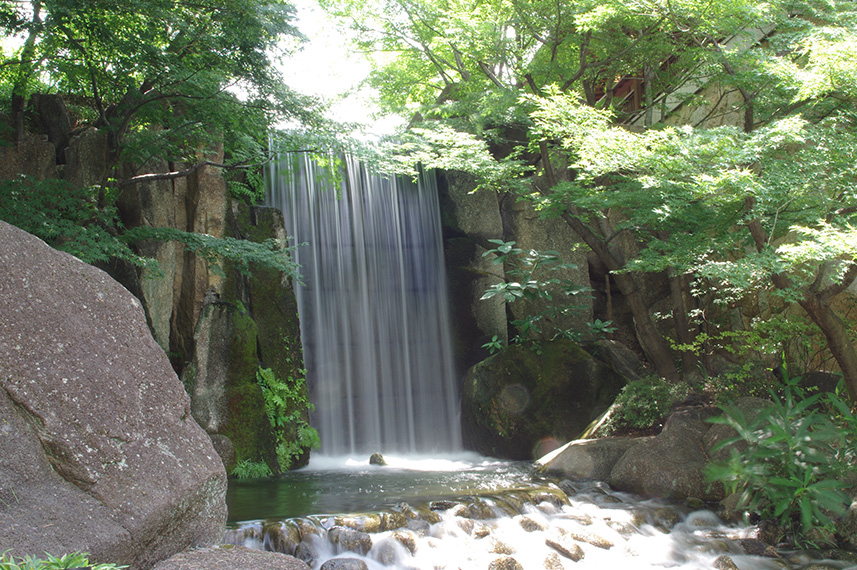 ロケーション撮影徳川園