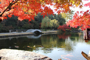 ロケーション撮影徳川園