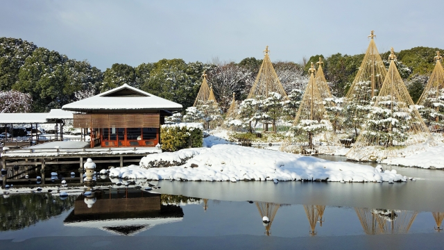 白鳥庭園でのロケ撮