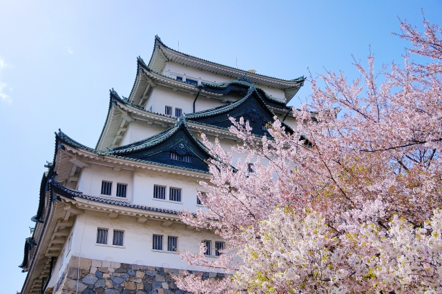 名古屋城でのロケ撮